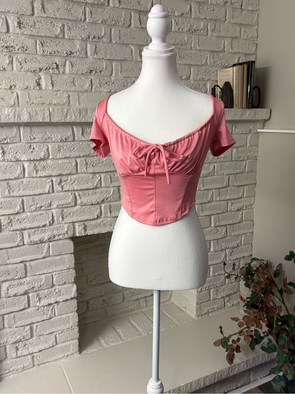 Live in the Moment Pink Corset Crop Top - EUC - Small